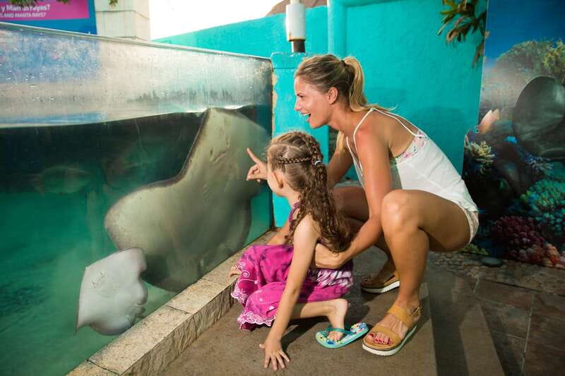 Cancún: Interactive Aquarium Admission - Key moments you will actually care about