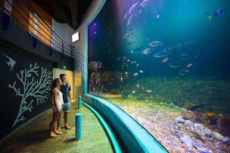 Cancún: Interactive Aquarium Admission - Is it worth $17? A value check for families and casual visitors