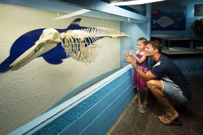 Cancún: Interactive Aquarium Admission - Getting to Plaza La Isla and finding the entrance fast