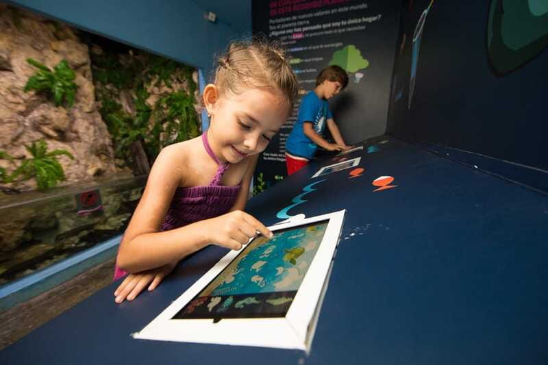 Cancún: Interactive Aquarium Admission - Touch tanks: the part that makes this feel different