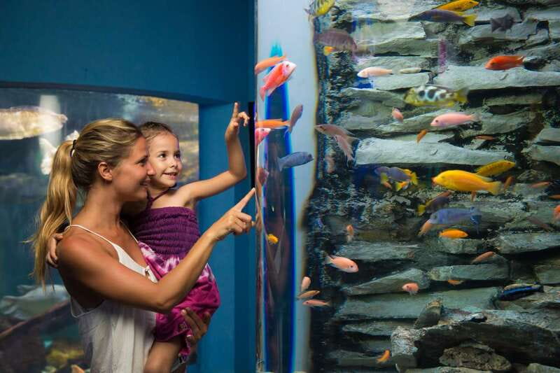 Cancún: Interactive Aquarium Admission - Dolphins: fun to watch, but optional extras cost extra