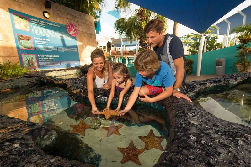 Cancún: Interactive Aquarium Admission - How long to plan in Cancún, and the smart way to pace it