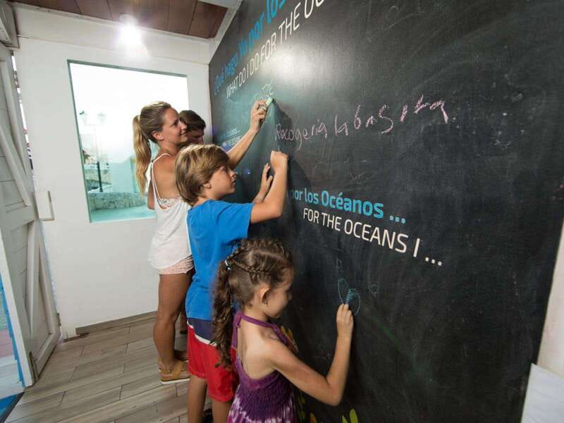 Cancún Interactive Aquarium Admission + Dolphin Presentation - Who should book this, and who might skip it