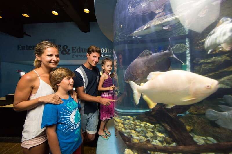 Cancún: Interactive Aquarium Admission - Price and what your $17 ticket covers inside