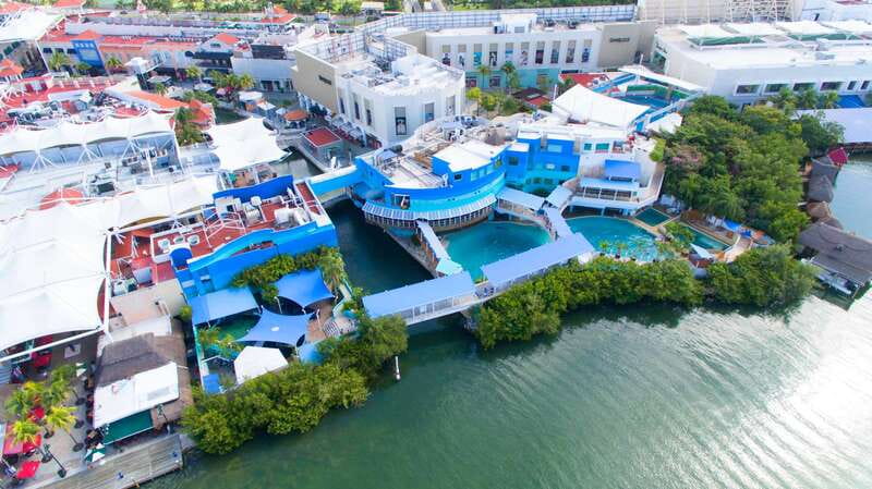 Cancun: Interactive Aquarium - Swim with Dolphins Splash - Key highlights you should know