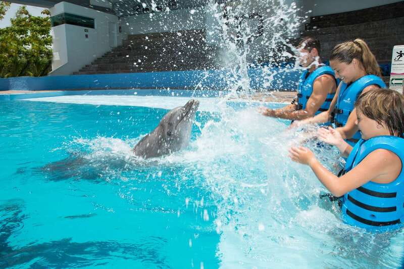 Cancun: Interactive Aquarium - Swim with Dolphins Splash - Where this experience happens, and the rules that shape it