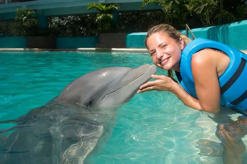 Cancun: Interactive Aquarium - Swim with Dolphins Splash - Aquarium admission and the dolphin presentation, with a practical purpose