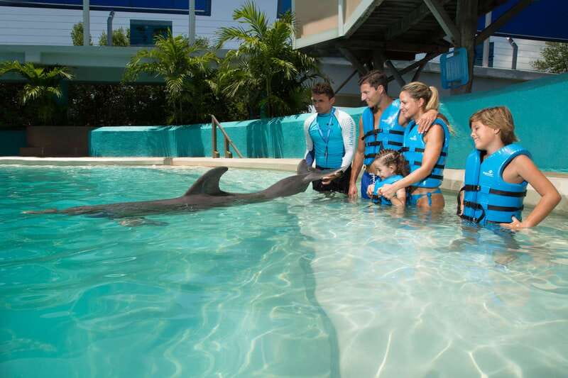 Cancun: Interactive Aquarium - Swim with Dolphins Splash - The 35 minutes: how the flow actually feels