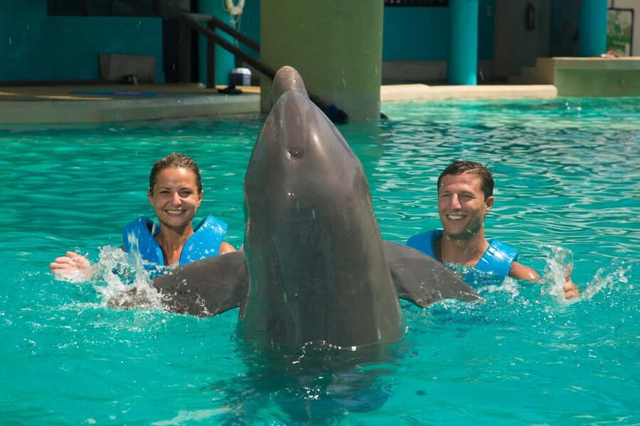 Cancun: Interactive Aquarium Ticket and Swim with Dolphins - Key points to know before you book