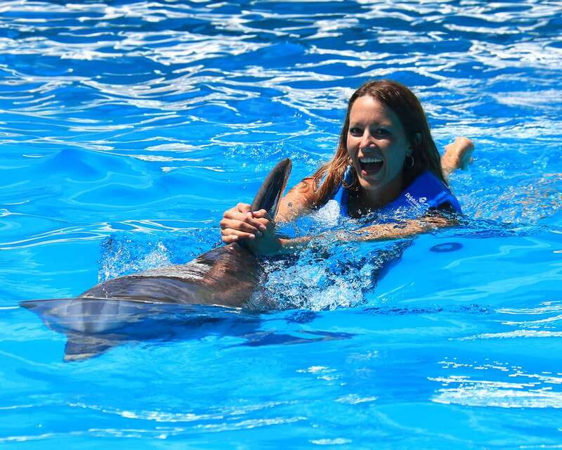Cancun: Interactive Aquarium Ticket and Swim with Dolphins - Entering the water: rules that affect your day