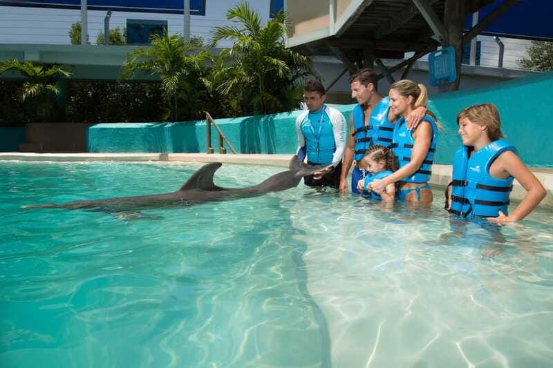 Cancun: Interactive Aquarium Ticket and Swim with Dolphins - What happens during the 30 minutes with dolphins