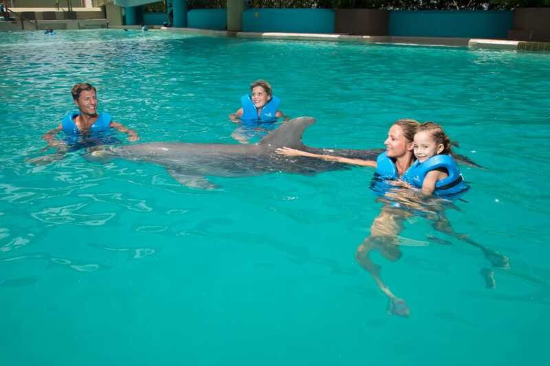 Cancun: Interactive Aquarium Ticket and Swim with Dolphins - Touch, games, and that dolphin kiss moment