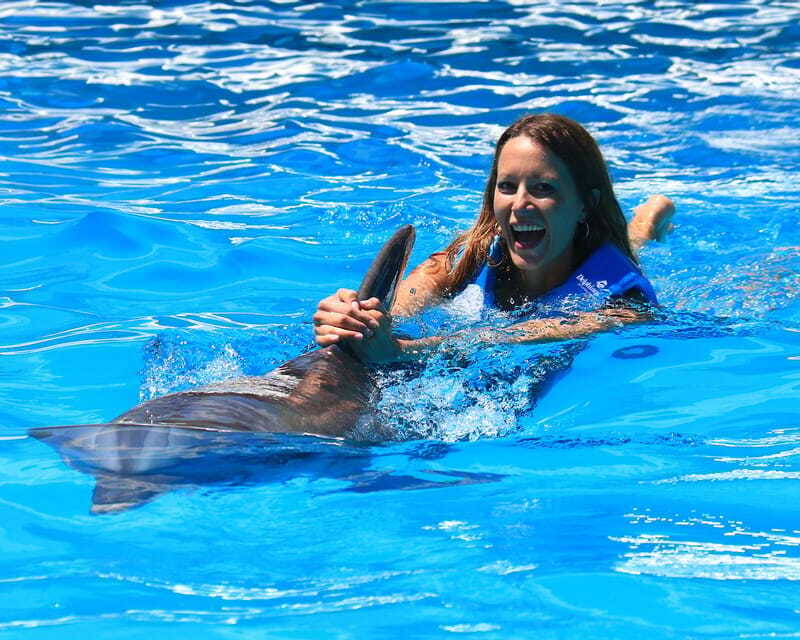 Cancun: Interactive Aquarium Ticket and Swim with Dolphins - Price in Cancun: is $138 plus fees good value?