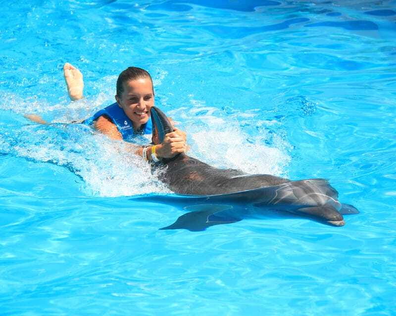 Cancun: Interactive Aquarium Ticket and Swim with Dolphins - Who this experience fits best