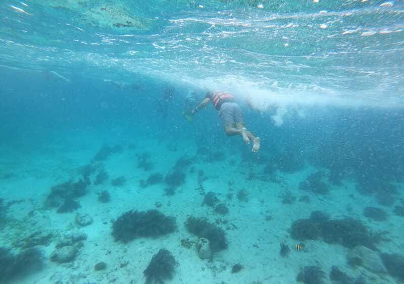 Cancun: Isla Mujeres Catamaran with buffet, drinks & snorkel - Should you book Cancun: Isla Mujeres Catamaran with buffet, drinks & snorkel?
