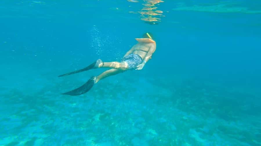 Cancun: Isla Mujeres Full Day Dancer Cruise - Key things that make the Dancer Cruise work