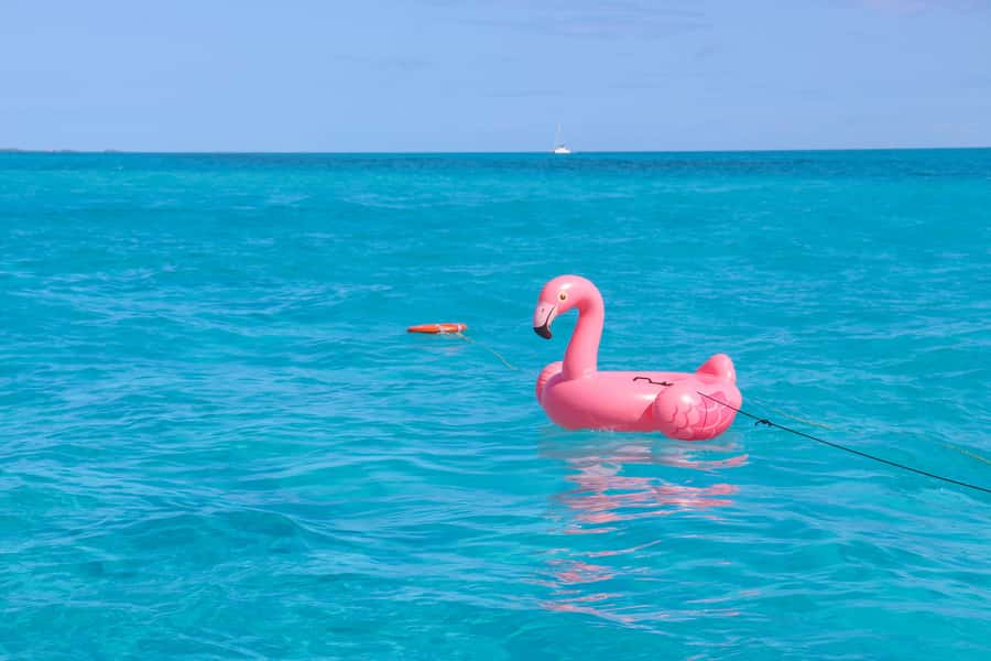 Cancun: Isla Mujeres Full Day Dancer Cruise - DJ music, dance floor energy, and the open bar expectations