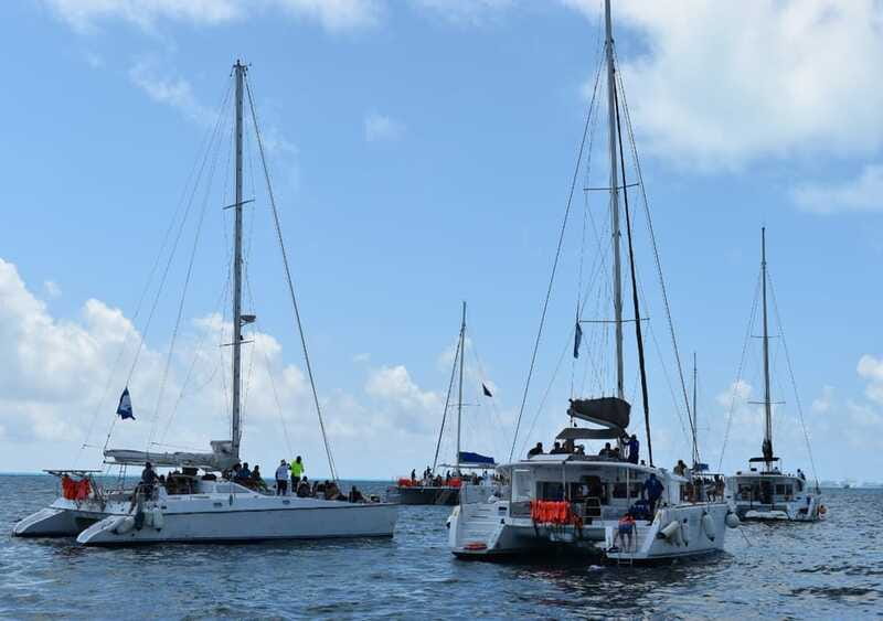 Cancun: Isla Mujeres Only Adults Catamaran, drinks & snorkel - Should You Book This Cancun to Isla Mujeres Catamaran?