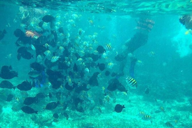 Cancun Jetski and Snorkel Adventure - Blue-Water Time: Seeing the Sea Colors After the Mangroves