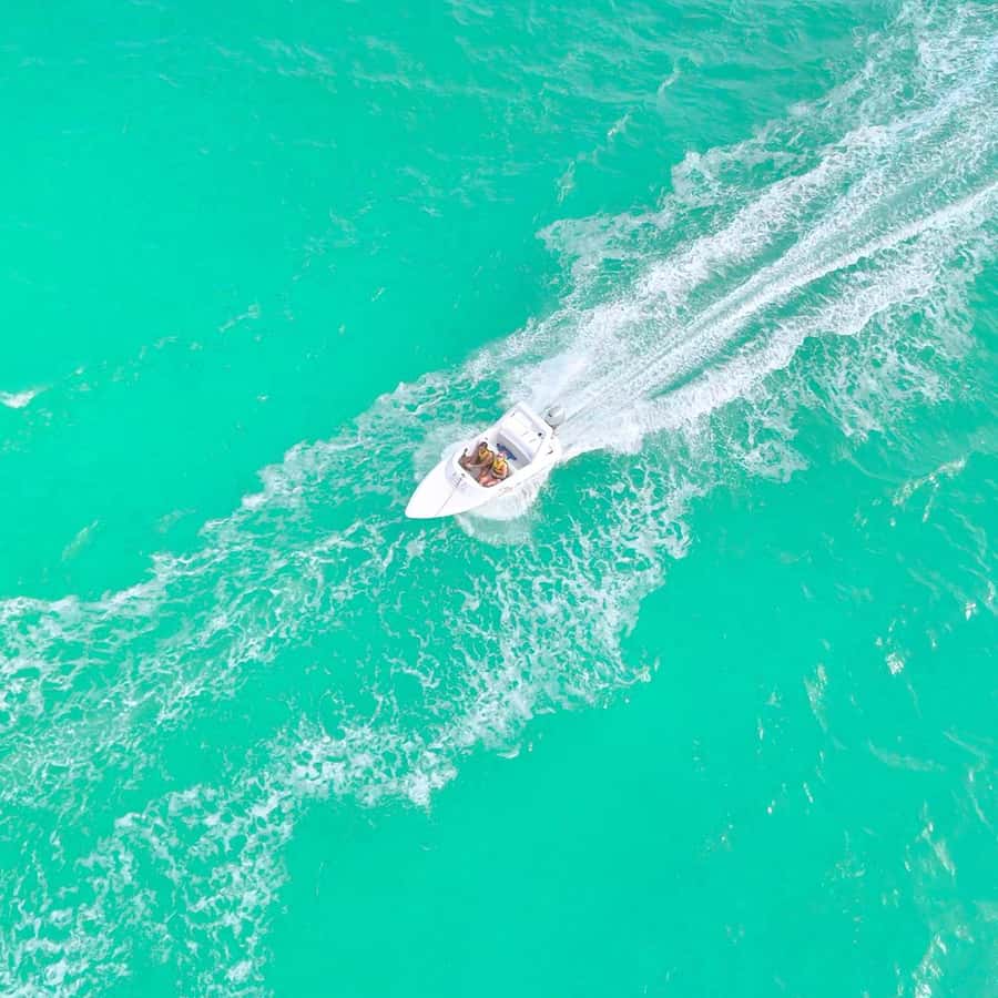 Cancun: Jungle Speedboat and Snorkeling Tour Adventure - Snorkeling on the Mayan Reef: gear, guidance, and wildlife moments