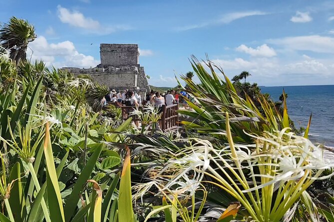 Cancun Jungle Tour: Tulum, Cenote Snorkeling, Ziplining, Lunch - The Big Picture: what this Cancun jungle tour really delivers