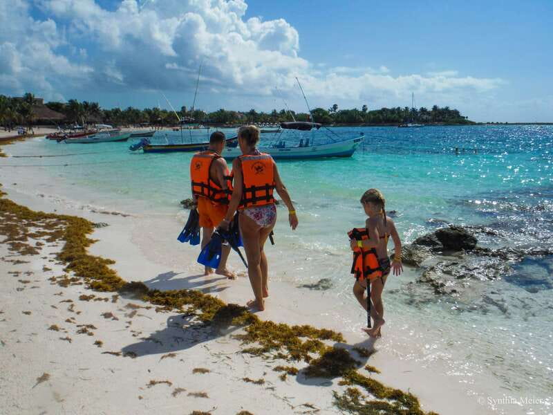 Cancun: Marine Turtle Observation in Akumal - Price and Value: Is $135 a Good Deal?