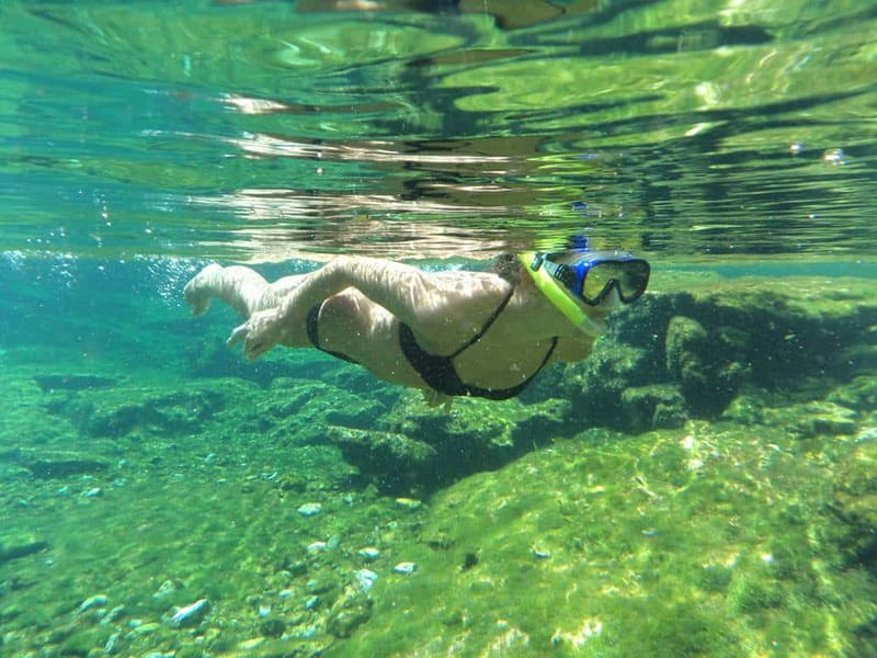 Cancun: Marine Turtle Observation in Akumal - What to Bring for Comfort (and Fewer Headaches)