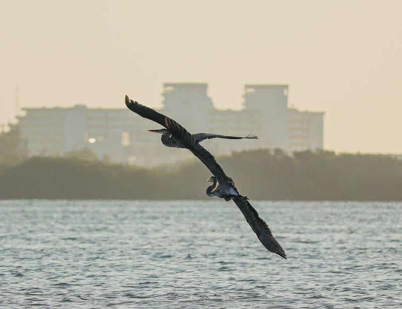 Cancun: Morning Kayak Adventure - What to Bring (and the Stuff That Makes the Day Easier)