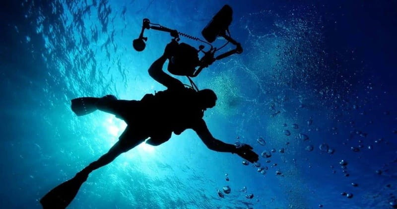 Cancun: MUSA Diving for certified divers morning dive trip - MUSA underwater art in Isla Mujeres, what you’re actually paying for