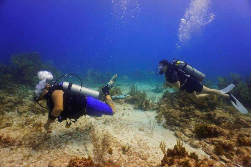 Cancun: MUSA Diving for certified divers morning dive trip - Getting on the boat, what you’ll do before you go down