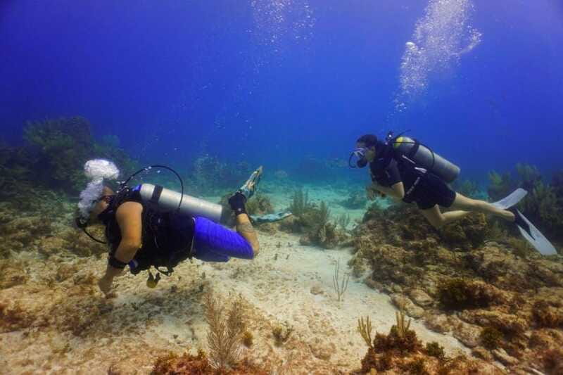 Cancun: MUSA Diving for certified divers morning dive trip - Price and value: what $137 really covers, and what to confirm