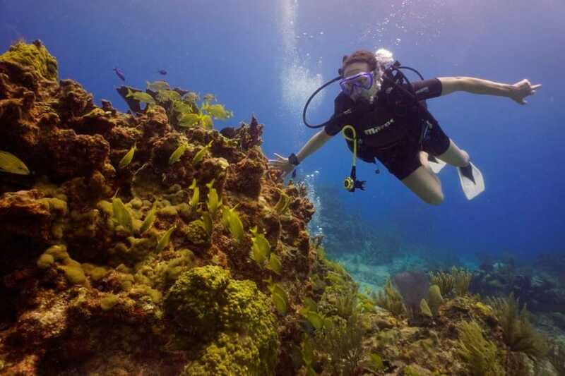 Cancun: MUSA Diving for certified divers morning dive trip - Staff, safety tone, and what to expect from the guides
