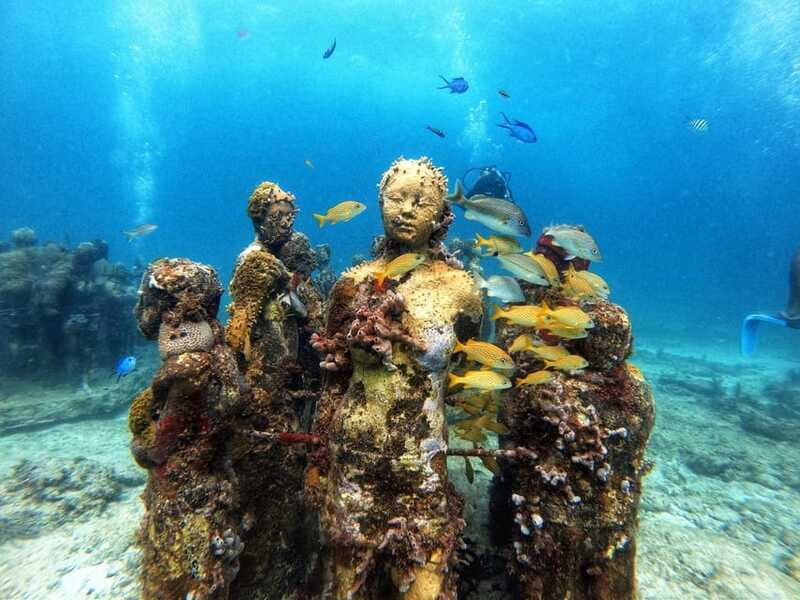 Cancun: Musa Underwater Museum & Reef Discover Scuba Diving - Price check: is $195 worth it for a MUSA plus reef day?