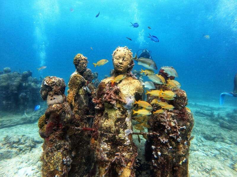 Cancun: Musa Underwater Museum & Reef Discover Scuba Diving - The 105-minute safety briefing and pool skills that calm first-timers