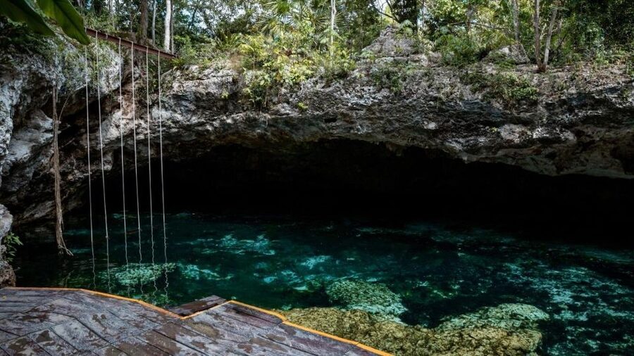 Cancun/Puerto Morelos: Tulum, Cenote & Playa del Carmen Trip - Price and what you really pay: $42 plus Tulum entry fees