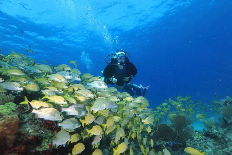 Cancun: Scuba Diving for Beginners, 2 Dives - How the 2-tank beginner scuba program runs in Cancun