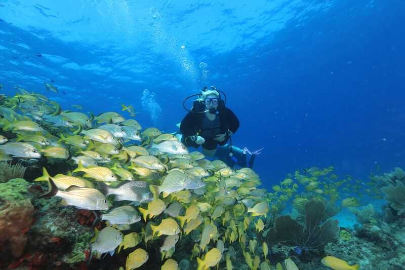 Cancun: Scuba Diving for Beginners, 2 Dives - Price and value: what $167 includes and what costs extra