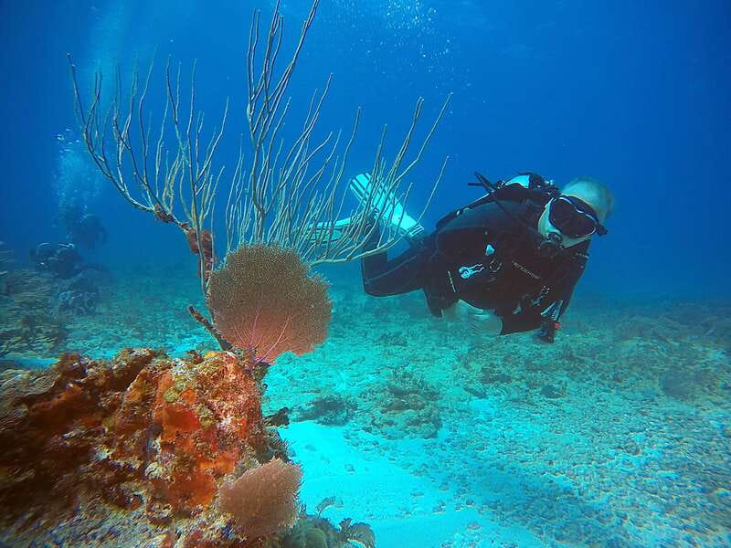 Cancun: Scuba Diving for Certified Divers, 3 options to dive - Option 3: Wreck diving plus reef on C-58 or C-55 (deeper thrill, then coral)