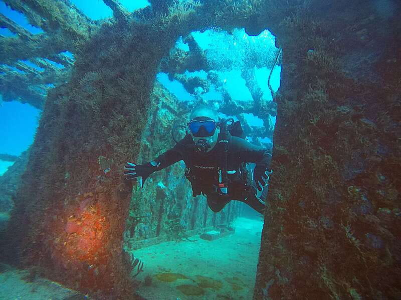 Cancun: Scuba Diving for Certified Divers, 3 options to dive - Marine life you can realistically hope to see