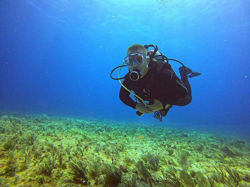 Cancun: Scuba Diving for Certified Divers, 3 options to dive - Choosing your option: MUSA, Punta Reefs, or wrecks at C-58 and C-55