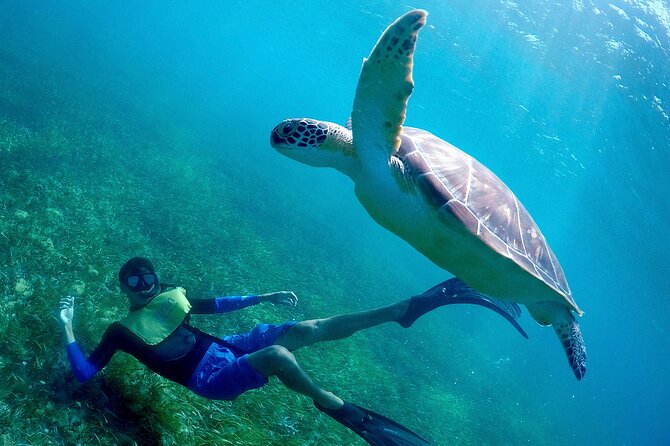 Cancun Snorkeling Adventure: Underwater Museum, Reef & Shipwreck - Gear tips that actually help: socks, sunscreen, and a change of clothes