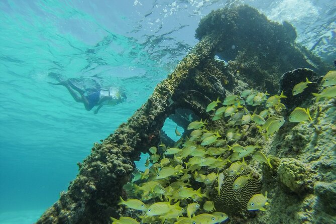 Cancun Snorkeling Adventure: Underwater Museum, Reef & Shipwreck - How long it takes, and what that means for your day plan