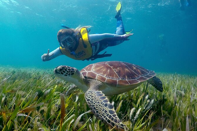 Cancun Snorkeling Adventure: Underwater Museum, Reef & Shipwreck - Stop 1 at MUSA, underwater art by Jason De Caires Taylor