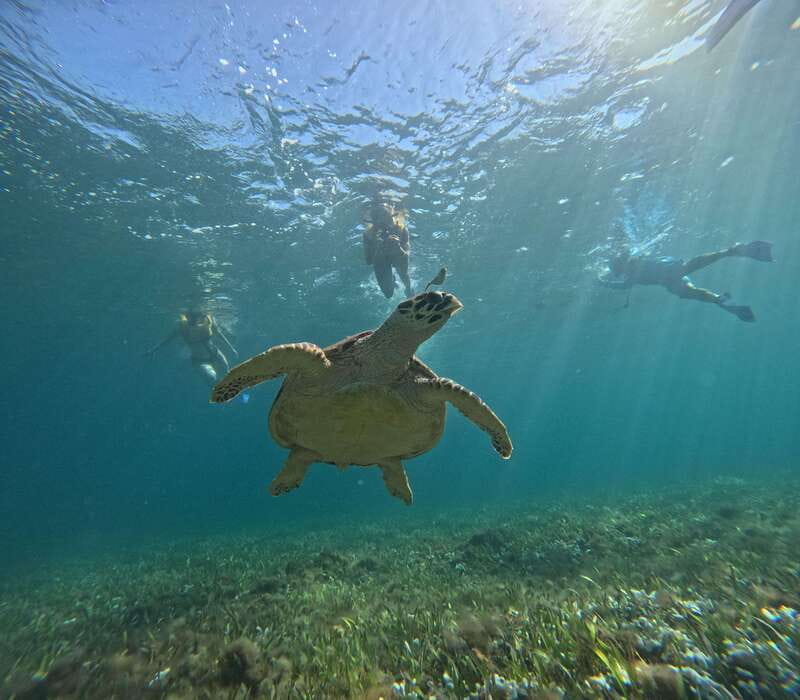 Cancun: Snorkeling Boat Tour with Gear - El Meco Coral Reef: Warm, Shallow, and Great for First-Timers