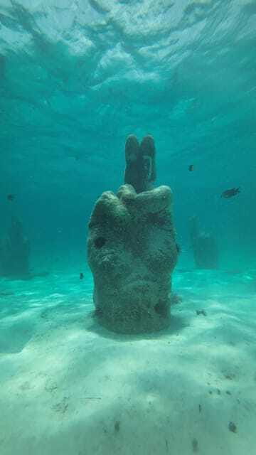 Cancun: Snorkeling Boat Tour with Gear - Price and Logistics: The Real Cost of a $99 Snorkel