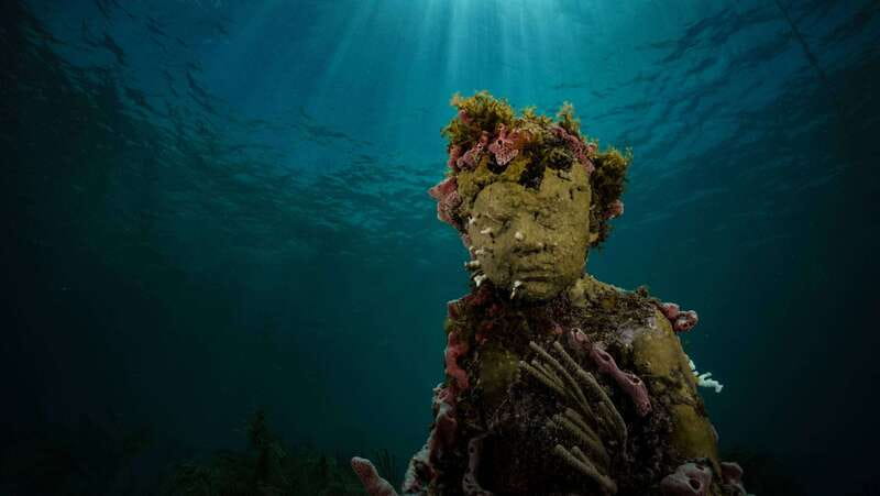 Cancun: Snorkeling Tour at MUSA The Underwater Museum - Key highlights worth your attention