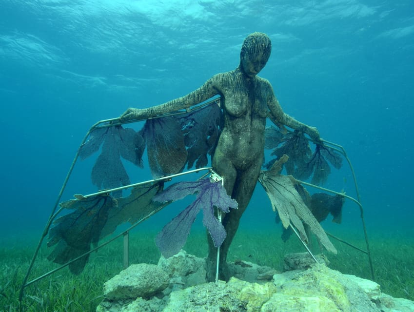 Cancun: Snorkeling Tour at MUSA The Underwater Museum - Who should book (and who should skip)