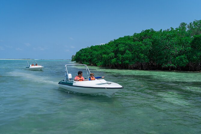 Cancun: Speedboat tour to a Virgin Beach - Chacmuchuc Lagoon stop: scenery, wildlife habitats, and quiet moments