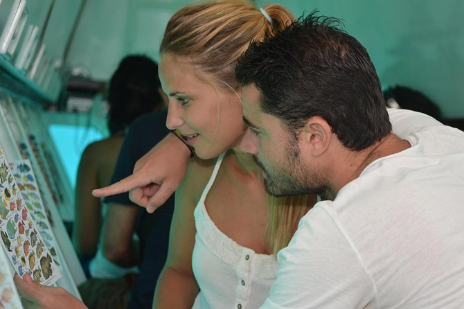 Cancun Submarine and Optional Snorkeling Tour - Marine Life Chances, Including Rays, Turtles, and Barracudas