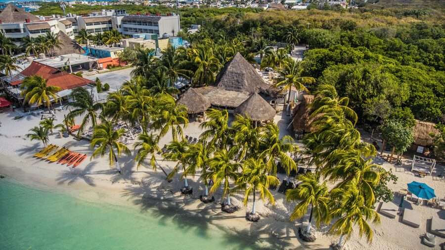 Cancún: Swim with Whale Sharks & Playa Norte Beach - Whale Sharks at Contoy, Close Without the Chaos